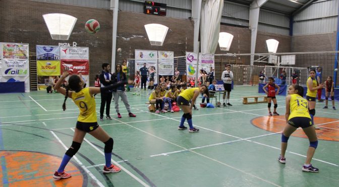 El XXXVIº Torneo de voleibol Fuentes de Andalucía obtiene una alta participación